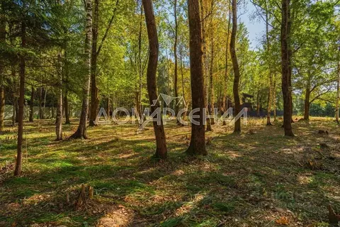 Участок в Московская область, Наро-Фоминский городской округ, ЗАО Нара ...