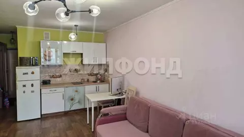 1-к кв. Новосибирская область, Новосибирск ул. Фадеева, 66/9 (27.8 м)