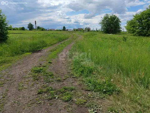 Участок в село Александровка, улица Долганова (14 м)