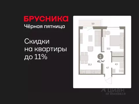 1-к кв. Курганская область, Курган Центральный жилрайон, Дом Кино ...