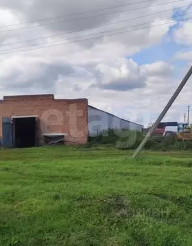 Склад в Новосибирская область, Колыванский район, Нива СНТ ул. ...