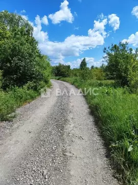 Участок в Воронежская область, Семилукское с/пос, с. Ендовище ул. ...