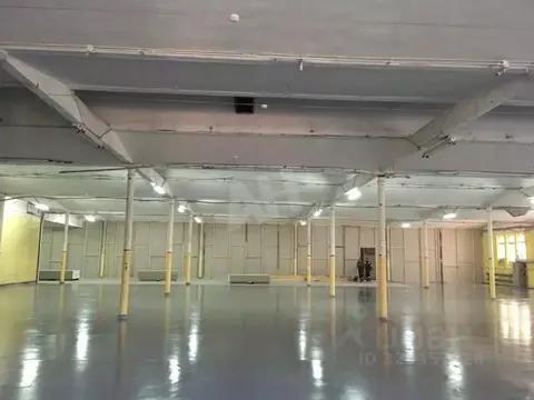 Склад в Московская область, Ногинск Богородский городской округ, ...