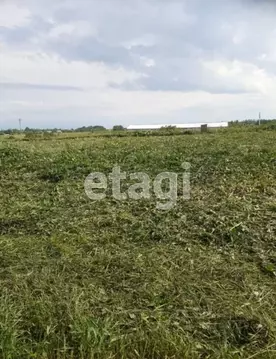Участок в Вологодская область, пос. Васильевское  (15.0 сот.)