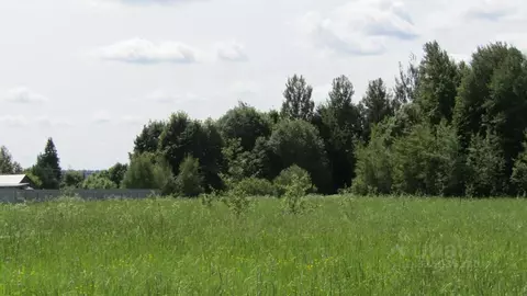 Участок в Московская область, Рузский муниципальный округ, с. ...