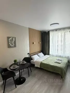 Студия Москва № 3 кв-л, 6к2 (20.0 м)