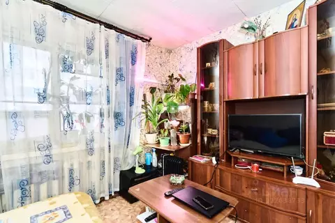 Студия Томская область, Томск просп. Фрунзе, 120А (18.9 м)