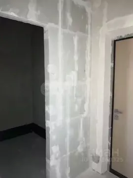 Студия Татарстан, Казань Стадионная ул., 1 (24.8 м)