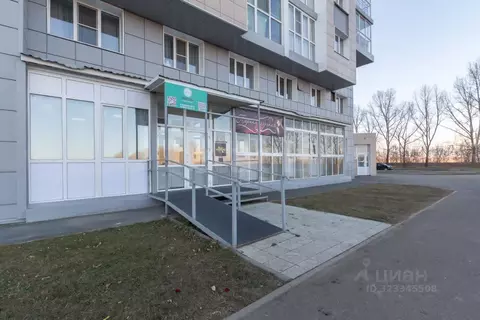 Торговая площадь в Алтайский край, Новоалтайск Прудская ул., 40 (104 ...