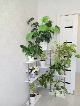 3-к кв. Саратовская область, Саратов ул. Имени В.С. Зарубина, 186 ...