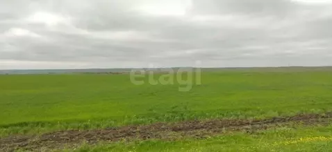 Участок в Крым, Ленинский район, Заветненское с/пос, с. Заветное ул. ...