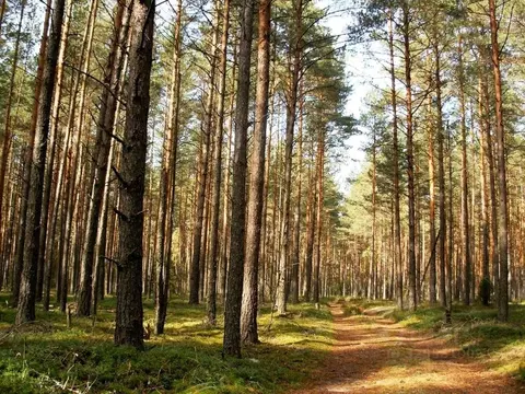 Участок в Московская область, Павлово-Посадский городской округ, д. ...