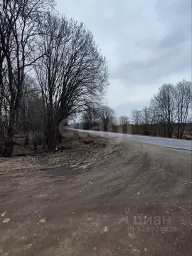 Участок в Ленинградская область, Ломоносовский район, Копорское с/пос, ...