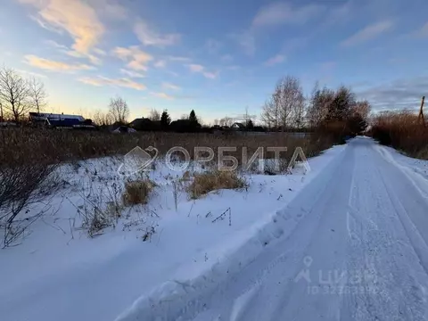 Участок в Тюменская область, Тюменский муниципальный округ, с. Луговое ...