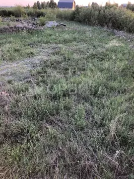 Участок в Тюменская область, Тюмень Ягодное СНТ, ул. Березовая, 150 ...