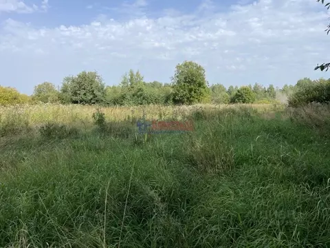 Участок в Ленинградская область, Приозерский район, Ларионовское ...