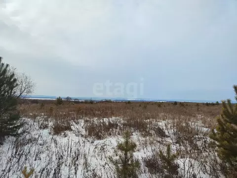 Участок в Амурская область, Благовещенск пос. Аэропорт,  (760.0 сот.)