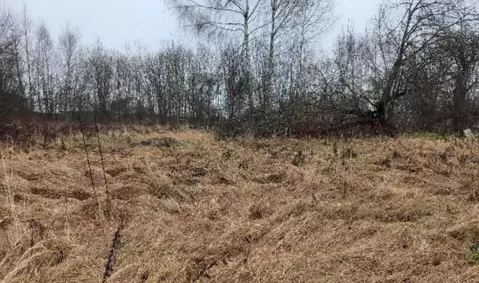 Участок в Московская область, Дмитровский муниципальный округ, д. ...