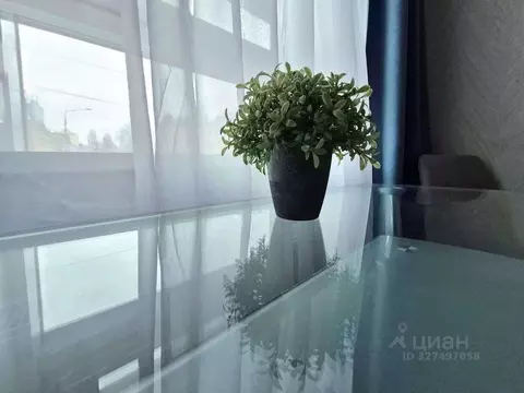 Студия Белгородская область, Белгород ул. Попова (31.0 м)