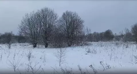 Участок в Московская область, Дмитровский муниципальный округ, д. ...