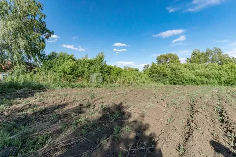 Участок в Алтайский край, Барнаул городской округ, пос. Черницк ул. ...