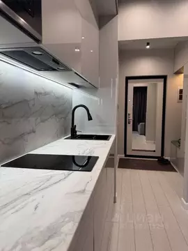 Студия Санкт-Петербург Прилукская ул., 28к2 (27.3 м)