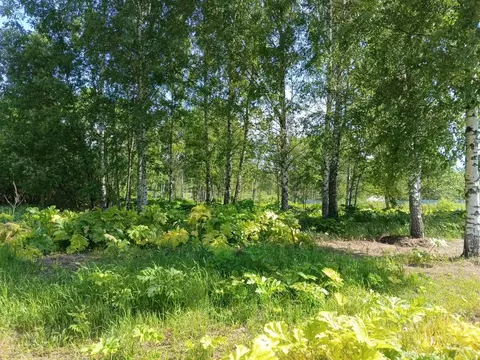 Участок в Тверская область, Кимрский муниципальный округ, Деревня ...