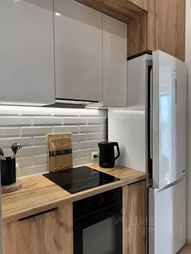 Студия Санкт-Петербург аллея Арцеуловская, 9 (30.0 м)