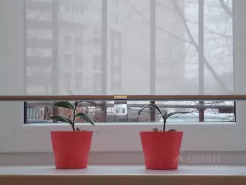 Офис в Санкт-Петербург просп. Обуховской обороны, 197 (8 м)