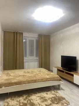 1-к кв. Санкт-Петербург Суздальский просп., 3К2 (34.0 м)