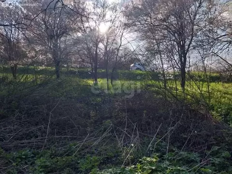 Участок в станица Кужорская, улица Островского (12 м)