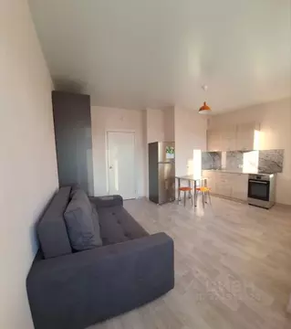 Студия Новосибирская область, Новосибирск ул. Петухова, 162 (29.0 м)