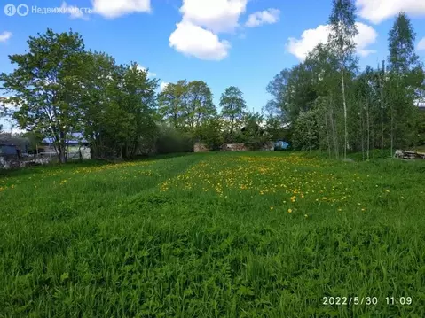 Участок в Волосовский район, Большеврудское сельское поселение, ...