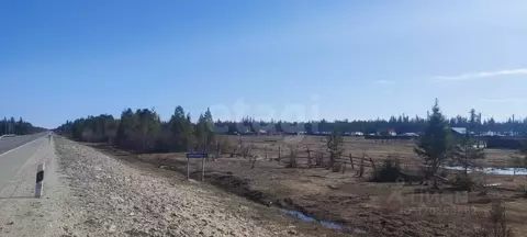 Участок в Саха (Якутия), Мегино-Кангаласский улус, с. Хаптагай, ...
