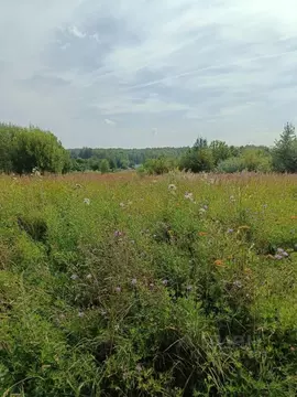 Участок в Владимирская область, Собинский муниципальный округ, д. ...