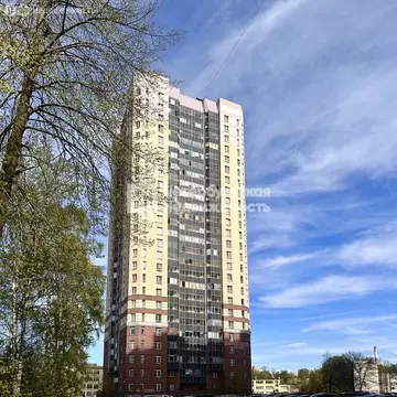 2-комнатная квартира: Санкт-Петербург, Народная улица, 53к3 (56.6 м)