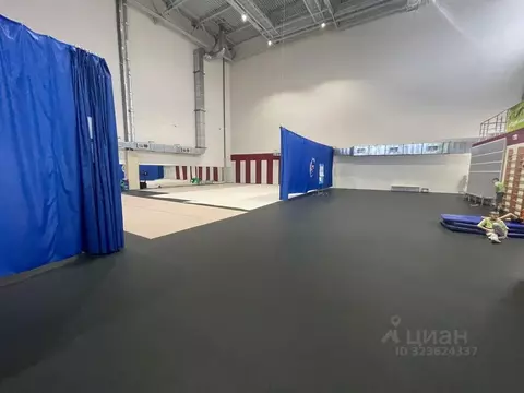 Помещение свободного назначения в Саратовская область, Саратов ул. ...