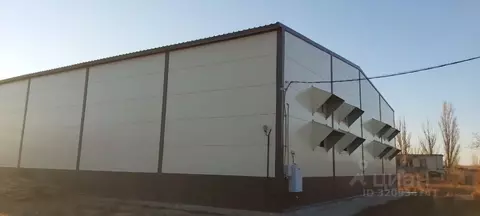 Помещение свободного назначения в Волгоградская область, Николаевск ...