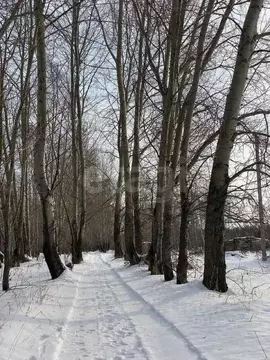 Участок в Новосибирская область, Искитимский район, Мичуринский ...