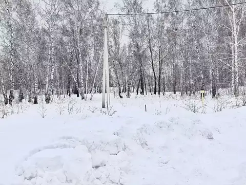 Участок в Омская область, Омский район муниципальный округ, д. ...