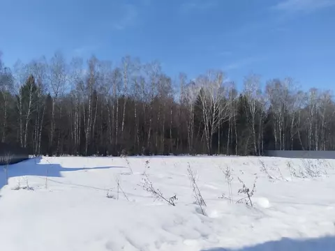 Участок в Калужская область, Боровский муниципальный округ, ...