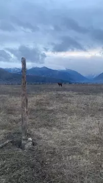 Участок в Алтай, Усть-Коксинский район, с. Тюнгур ул. Сухова (12.5 ...