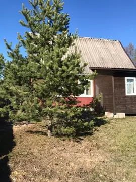 Дом в Ленинградская область, Всеволожский район, Агалатовское с/пос, ...