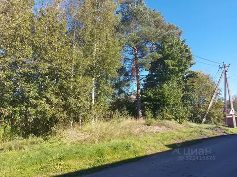 Участок в Ленинградская область, Всеволожск Всеволожский просп. (10.0 ...