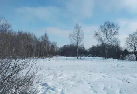 Участок в Московская область, Дмитровский муниципальный округ, д. ...