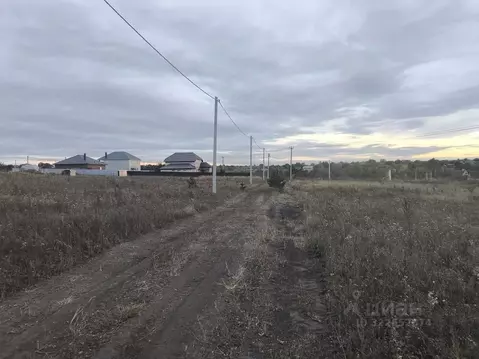 Участок в Курская область, Курский район, Новопоселеновский сельсовет, ...