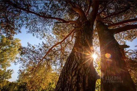 Участок в Московская область, Ступино городской округ, Эко Берег кп ...