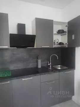 1-к кв. Санкт-Петербург Пулковское ш., 95к3 (32.0 м)