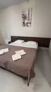 Студия Краснодарский край, Краснодар Российская ул., 369А (30.4 м)