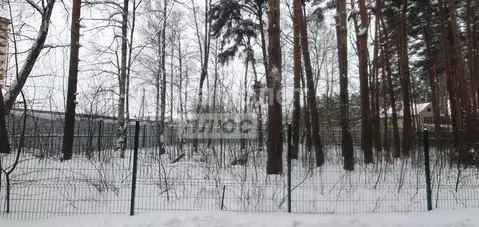 Участок в Московская область, Одинцовский городской округ, д. Бородки ...